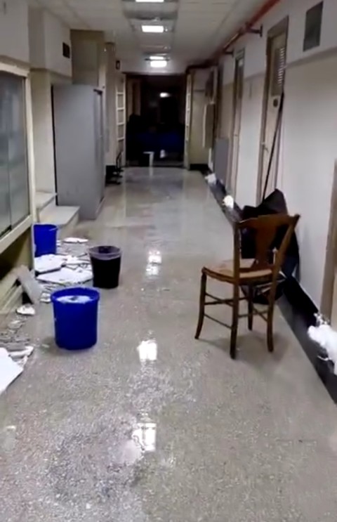 1dikastsiri pllimirise