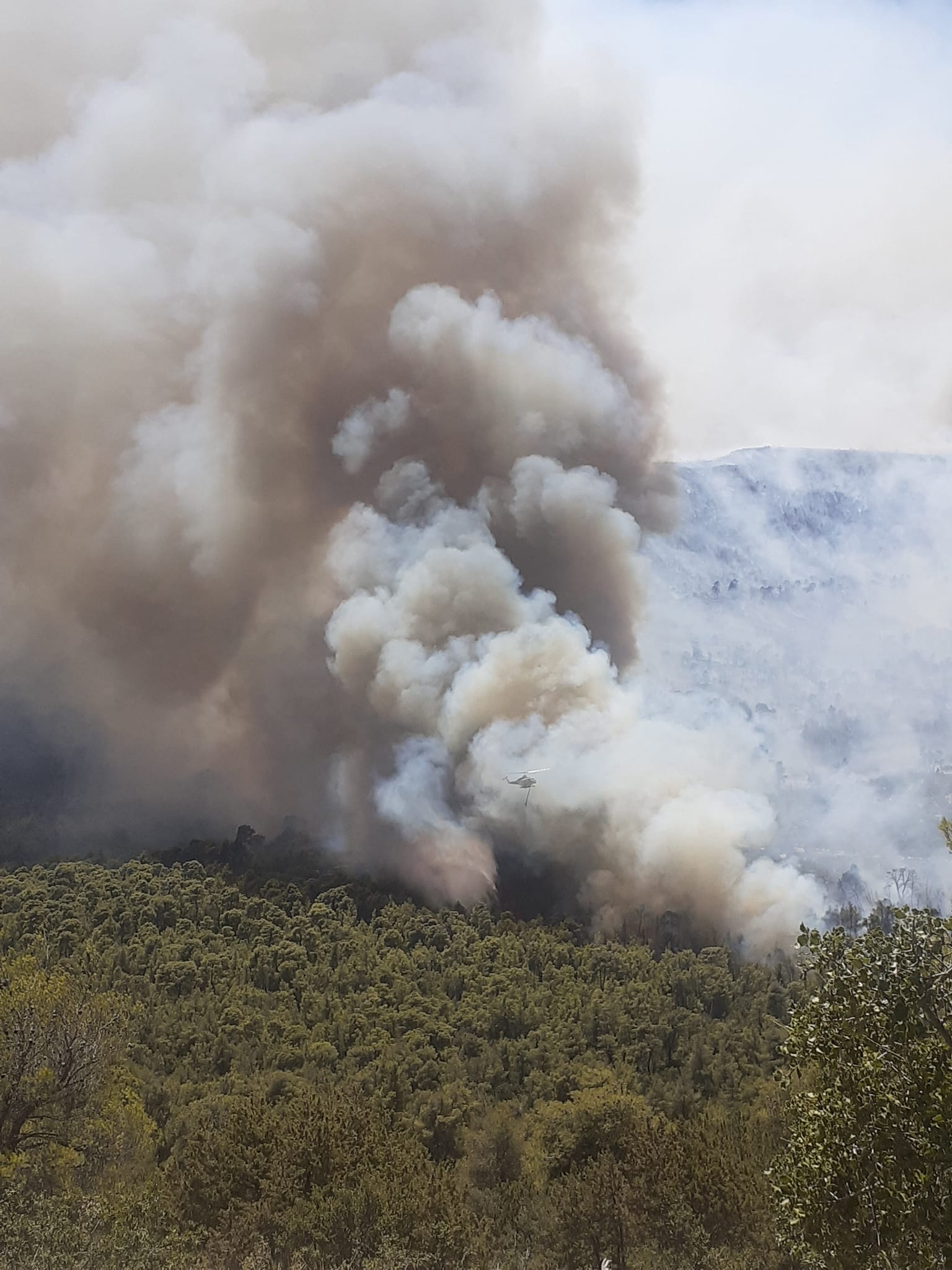 Πυρκαγιά σε δασική έκταση στο Πάτημα Εξαμιλίων Κορίνθου