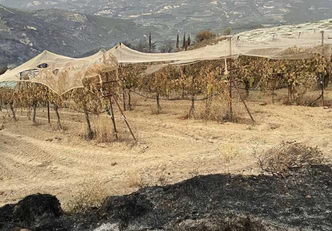 300.000 ευρώ στο Δήμο Βέλου – Βόχας για τις ζημιές από την πυρκαγιά της Στιμάγκας