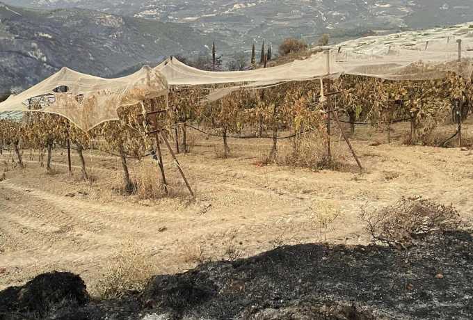300.000 ευρώ στο Δήμο Βέλου – Βόχας για τις ζημιές από την πυρκαγιά της Στιμάγκας