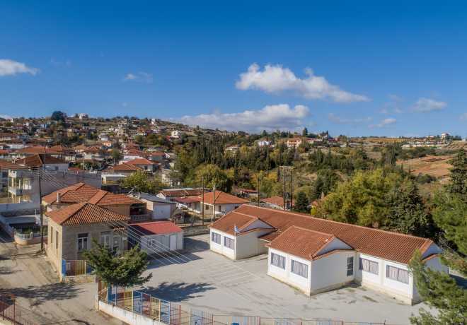 Οι γονείς του Κρυονερίου αντιδρούν στην αιφνιδιαστική υποβάθμιση του Δημοτικού Σχολείου σε πενταθέσιο.