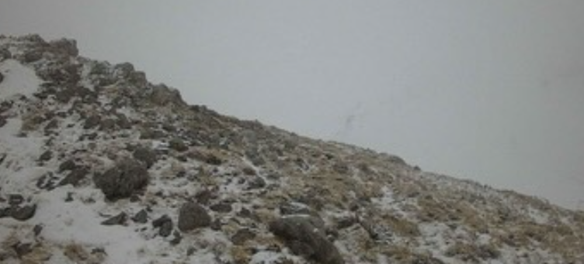 Ξεκίνησε η ❄️ χιονόπτωση στα χιονοδρομικά κέντρα Παρνασσού, Καλαβρύτων, Ζήρειας και Μαίναλου