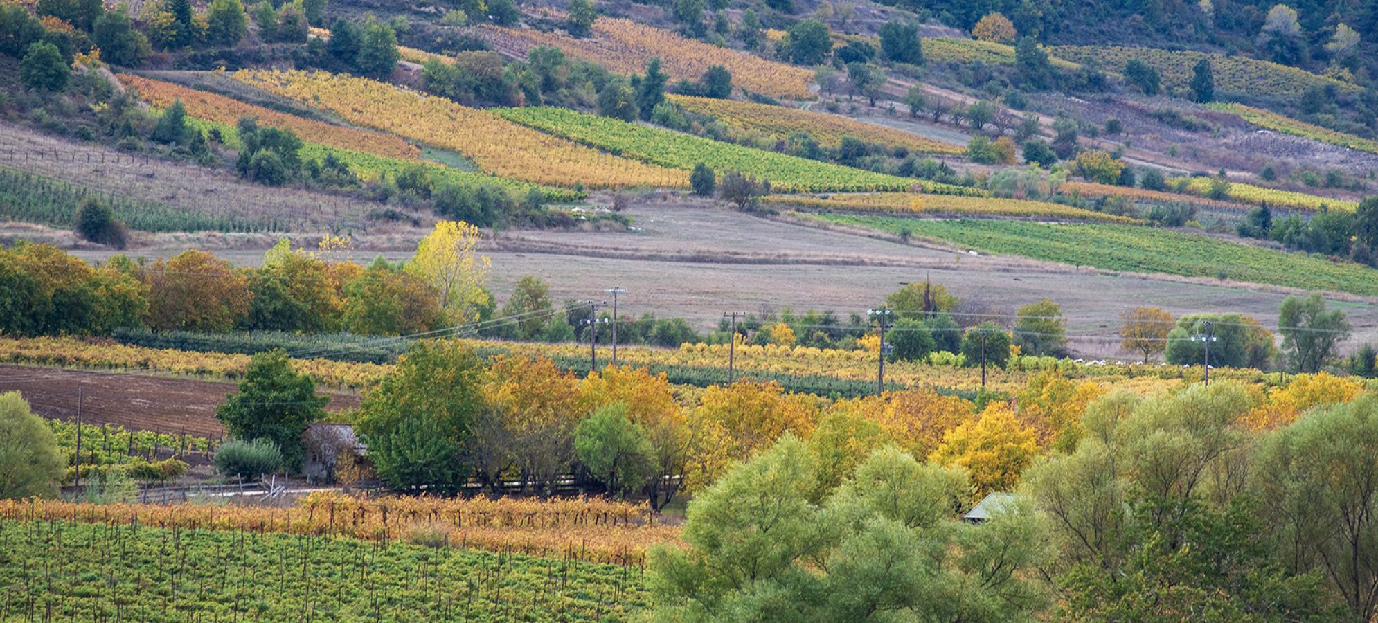 Κοινό μέτωπο 15 Προέδρων Κοινοτήτων και Δήμου Σικυωνίων για τον πρωτογενή τομέα