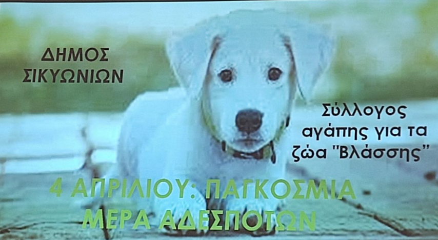Ο Δήμος Σικυωνίων έχει υλοποιήσει ένα ευρύ πρόγραμμα δράσεων για τα αδέσποτα ζώα
