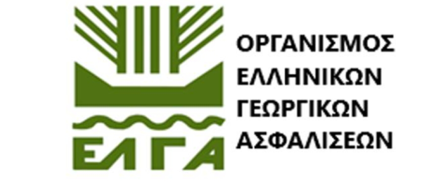 ΕΛΓΑ: Πιστώνονται 30 εκατ. ευρώ για εκκαθάριση πορισμάτων που αφορούν σε ζημιές φυτικής παραγωγής και ζωικού κεφαλαίου του 2024.  