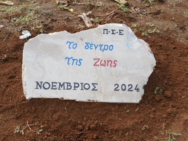 Το Δέντρο της Ζωής,  το Δέντρο του Εθελοντή Αιμοδότη απέκτησε ξεχωριστή θέση στην πλατεία των Εξαμιλίων