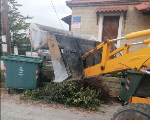 KOSTAS1