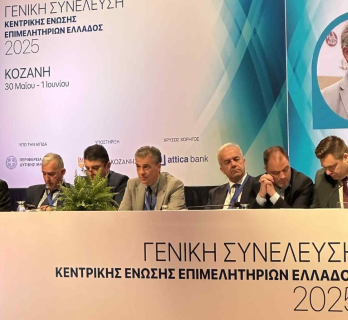 KOZANISISNEKELEYSI305