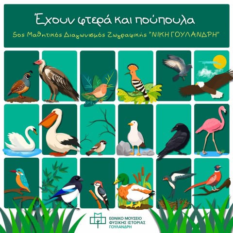 Poster Goulandri Poulia