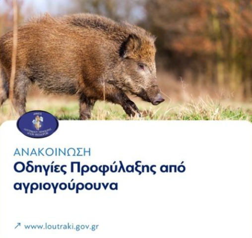 Οδηγίες προφύλαξης από αγριόχοιρους | Πώς μπορείτε να προφυλαχτείτε