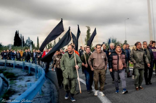 agrotedikastikoiyoalili