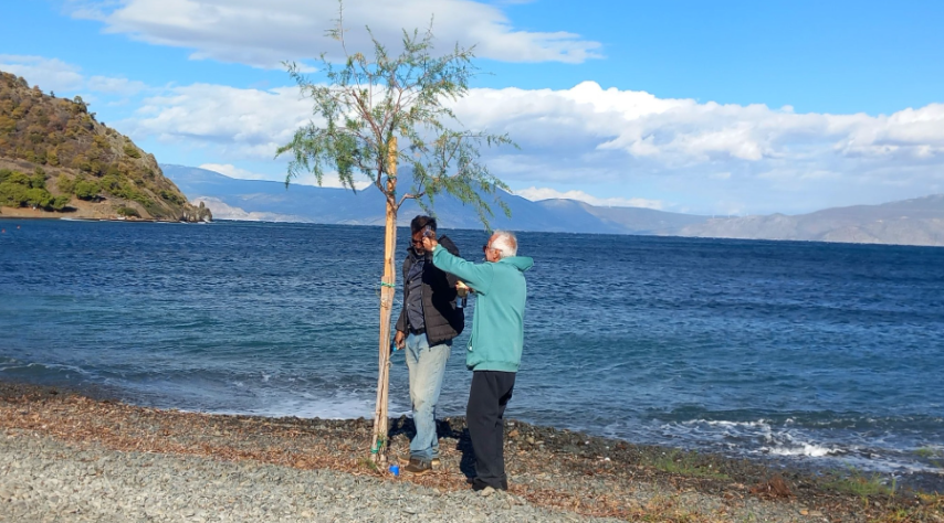 Σήμερα φυτεύτηκαν καινούργια αλμυρίκια αλλά και έγινε αντικατάσταση σε όσα είχαν ξεραθεί στην παραλία Αλμύρα του Σχοίνου.