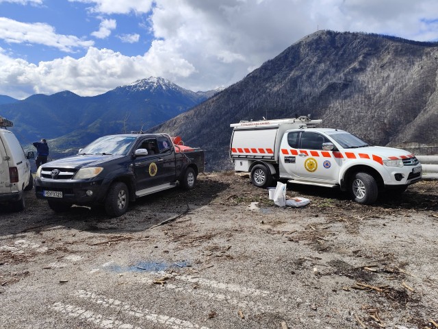 anadasisosi kastania