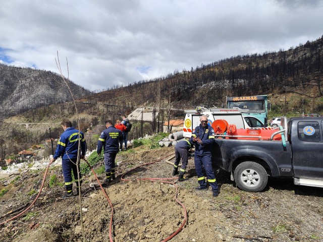 anadasisosi kastania2