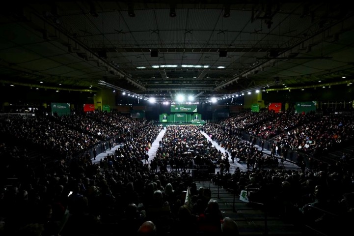 androulakiataekvonto2