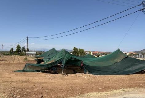 Νέα ευρήματα από τις ανασκαφές στην Αρχαία Τενέα – Κάλεσμα στήριξης από το Σωματείο «Φίλοι Αρχαίας Τενέας»