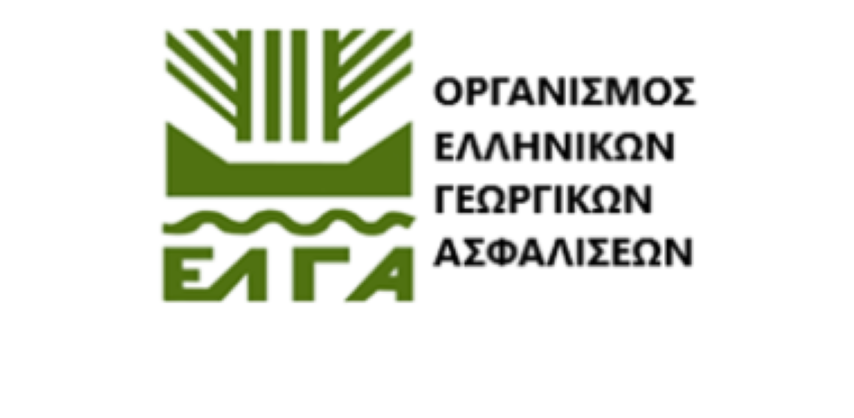 ΕΛΓΑ: 38 εκατ. € σε 12.915 δικαιούχους για ζημιές στη φυτική παραγωγή και απώλεια ζωικού κεφαλαίου το 2024