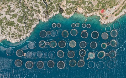 Ο Δήμος Κορινθίων λέει ένα μεγάλο, ομόφωνο, ξεκάθαρο ΟΧΙ και μαζί του υψώνουν φωνή άλλοι 10 Δήμοι