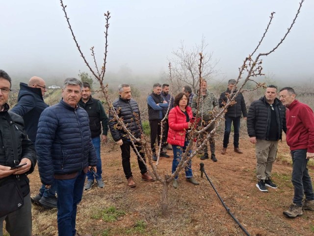 kiatoaytopsia1