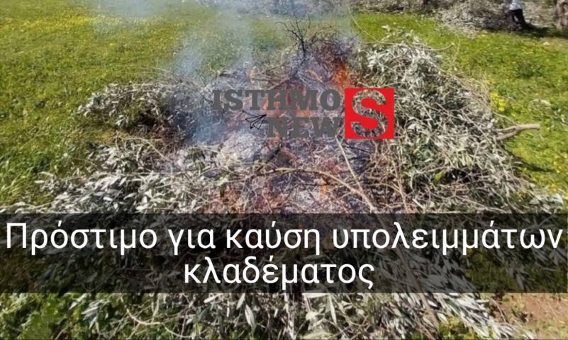 Πρόστιμο σε γυναίκα που έκαιγε κλαδιά στην περιοχή Σκουτέλα 