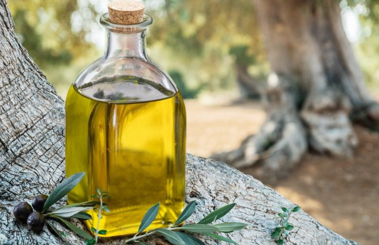 Ελαιόλαδο: Βγήκε η πρόβλεψη – Πόσο θα κοστίζει ο τενεκές το 2025