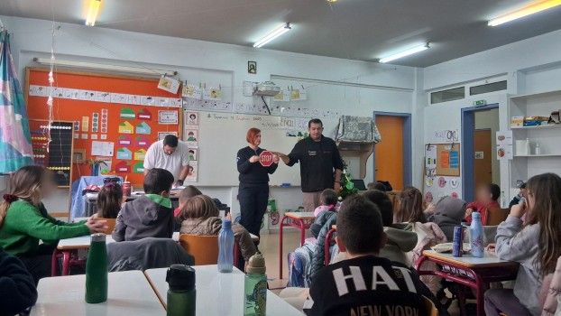 odikiasfaleia feneos 7