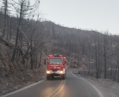  Διάσπαρτες εστίες στον Φενεό – Πάνω από 11.000 στρέμματα δάσους έγιναν στάχτη
