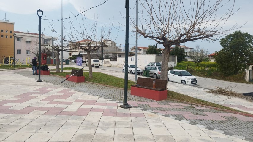 plataeiakotr