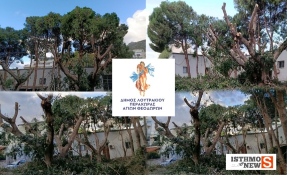 Στολίδι η πίσω πλευρά του Πνευματικού Κέντρου μετά τις νέες παρεμβάσεις καθαριότητας και πρασίνου