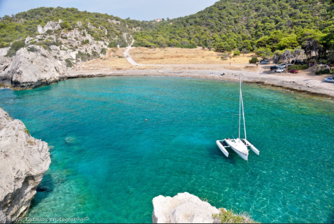 Ένας παράξενος επισκέπτης έκανε απόβαση στην παραλία  Μυλοκοπής