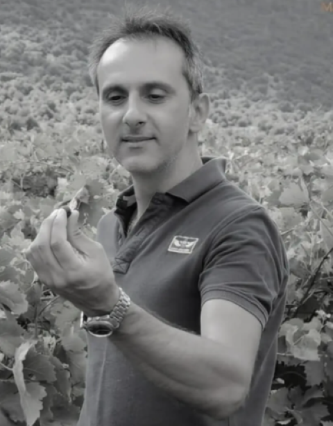 vasilis magkavalis