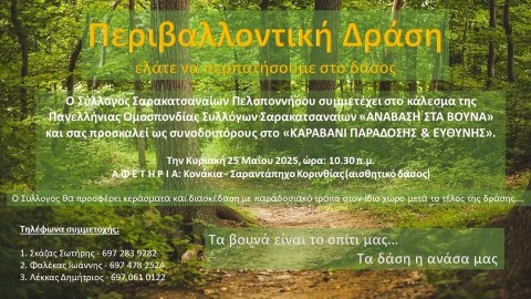 xyldrasi235