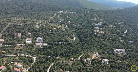Επιτήρηση Δάσους Σολυγείας λόγω Ισχυρών Ανέμων από την Ομάδα ΖΕΥΣ  [Video]