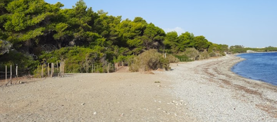 Στιγμιότυπο οθόνης 2024 08 10 183805