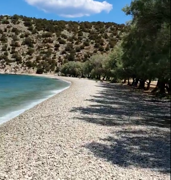 Στιγμιότυπο οθόνης 2024 08 11 173022