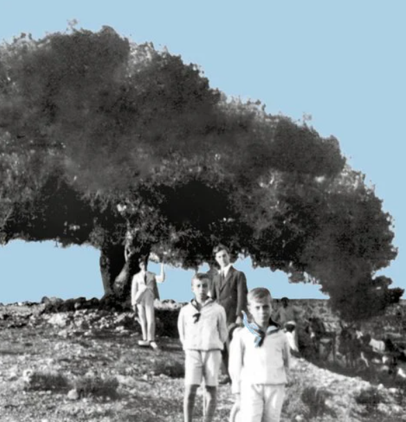 Στιγμιότυπο οθόνης 2024 08 15 210514